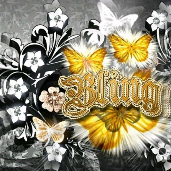 Meet your Posher, Bling - Picture 1 of 1